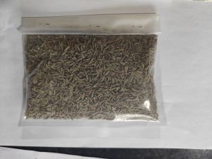 Europe Quality 99% Cumin Seeds