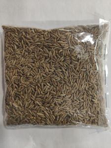 Europe Quality 99% Cumin Seeds