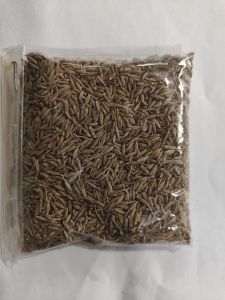 Europe Quality 99% Cumin Seeds