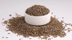 Europe Quality 99% Cumin Seeds