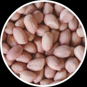 Java Peanut Seeds