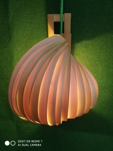 Snail Wall Lamp