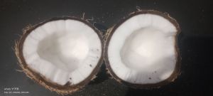 Semi Husked Coconut