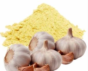 Natural Garlic Extract Powder