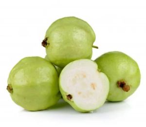 Fresh Green Guava