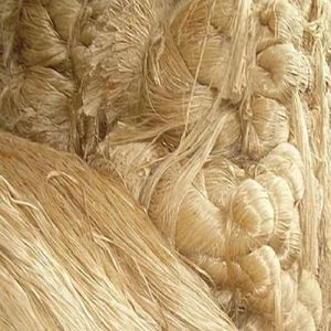 Raw Jute Fiber