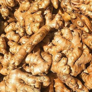 Fresh Brown Ginger