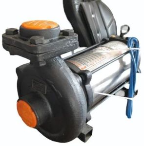 Double Phase 2 HP Open Well Pump