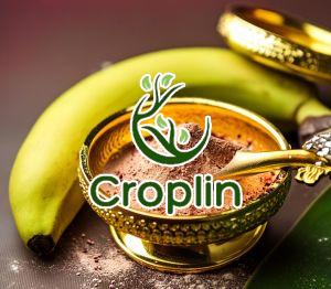 Spray Dried Green Banana Powder