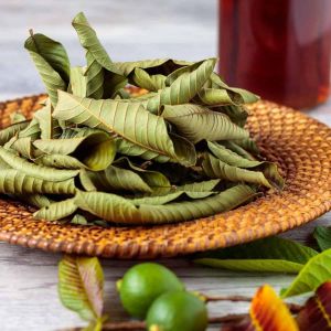Dry Guava Leaves