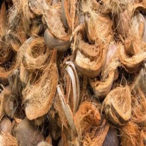 Coconut Husk