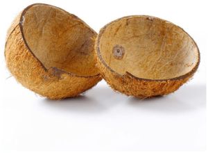 Half Cut Coconut Shell