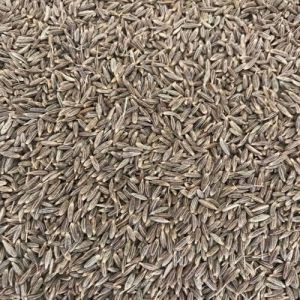 Aromatic Cumin Seeds