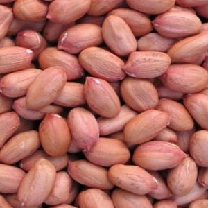 Natural Groundnut Kernels