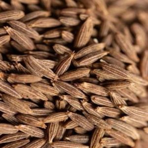 Premium Cumin Seeds