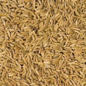 Superior Cumin Seeds