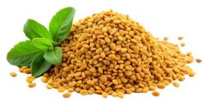 A Grade Fenugreek Seed