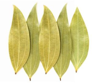 Dried Bay Leaf