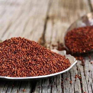 Organic Finger Millet