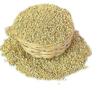 Organic Pearl Millet
