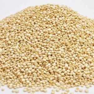 Organic Quinoa Seed