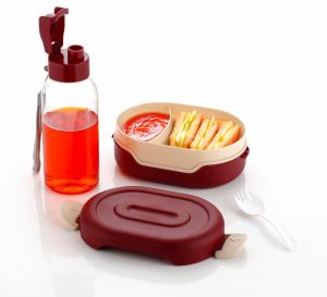 Bpa Free Lunch Box and Bottle