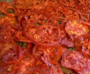Dehydrated Tomato Slice