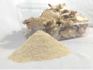 Oyster Mushroom Powder