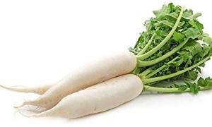 A Grade Fresh Radish