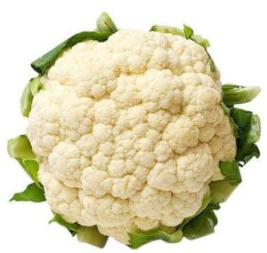 Fresh Harvested Cauliflower
