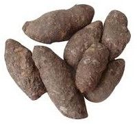 Fresh Natural Pidikaranai Root