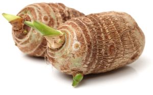 Organic Fresh Chembu Root