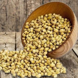 Whole Coriander Seeds
