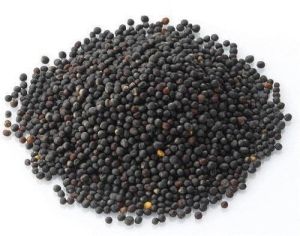 Whole Mustard Seeds