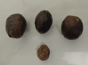 Aromatic Jathikkai Nutmeg Herbal Powder