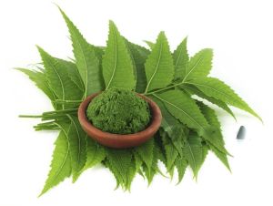 Detox &AMP; Immunity Support Neem Powder