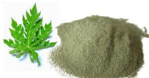 Herbal Wellness Boost Papaya Leaf Powder