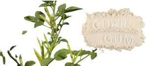 Multi Industry Grade Guar Gum Powder