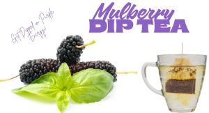 Organic Mulberry Detox &AMP; Immunity Tea Bags
