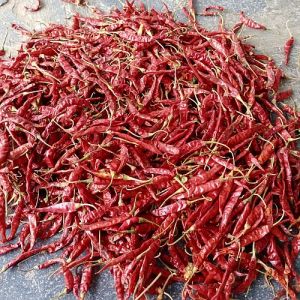 341 Dry Red Chilli