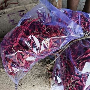 Guntur S10 Dry Red Chilli