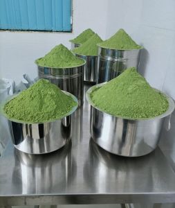Dehydrated Moringa Powder