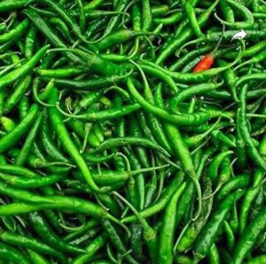 Fresh Green Chilli
