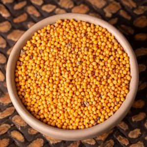 Yellow Mustard Seeds