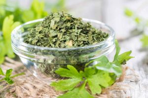 Dehydrated Coriander Leaves