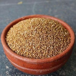 Brown Organic Kodo Millet Seeds