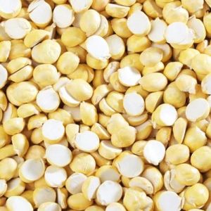 Light Yellow Odacha Kadalai