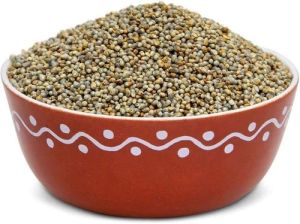 Organic Pearl Millet Seeds