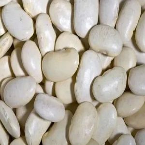 White Lima Beans