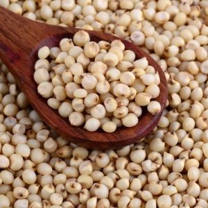 White Organic Sorghum Millet Seeds